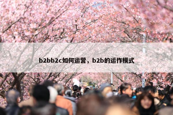 b2bb2c如何运营，b2b的运作模式