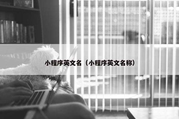 小程序英文名（小程序英文名称）