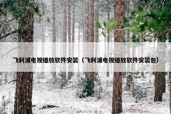 飞利浦电视播放软件安装（飞利浦电视播放软件安装包）
