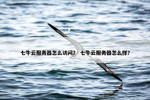 七牛云服务器怎么访问？ 七牛云服务器怎么样？