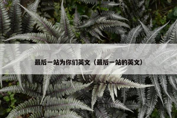 最后一站为你们英文（最后一站的英文）