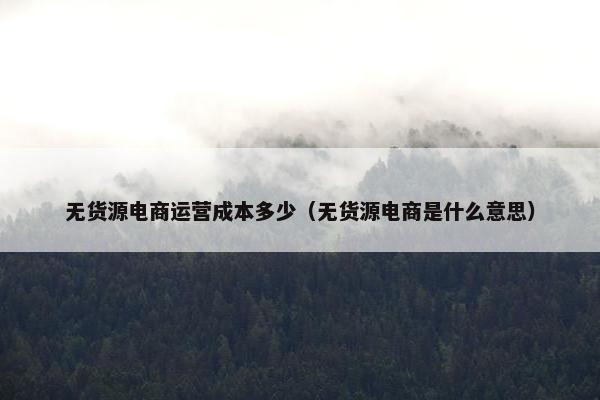 无货源电商运营成本多少（无货源电商是什么意思）
