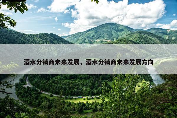 酒水分销商未来发展，酒水分销商未来发展方向