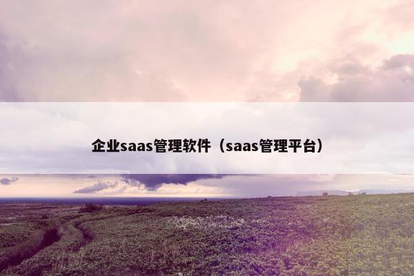 企业saas管理软件（saas管理平台）