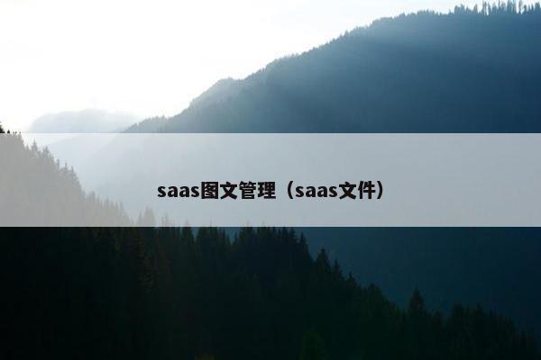 saas图文管理（saas文件）