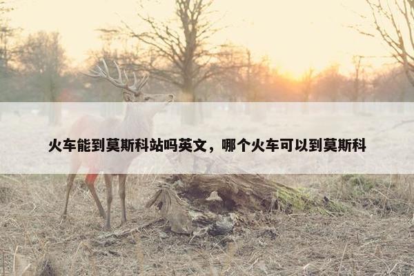 火车能到莫斯科站吗英文，哪个火车可以到莫斯科