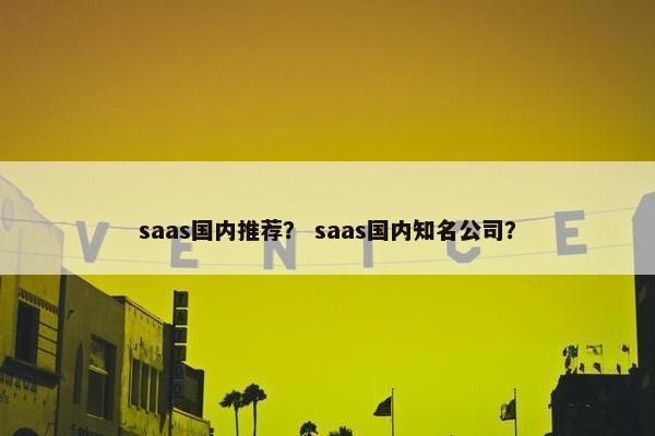 saas国内推荐？ saas国内知名公司？