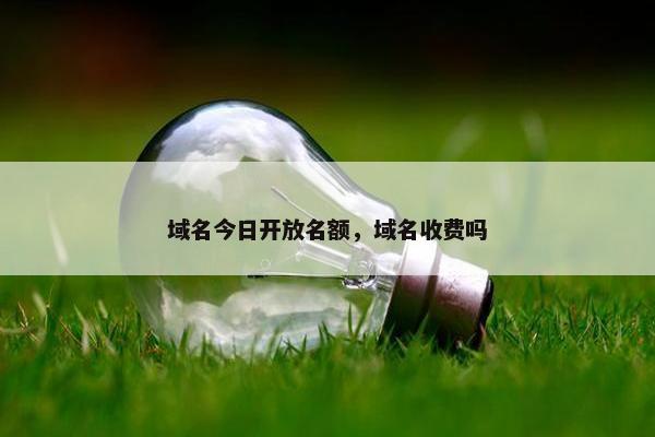 域名今日开放名额，域名收费吗