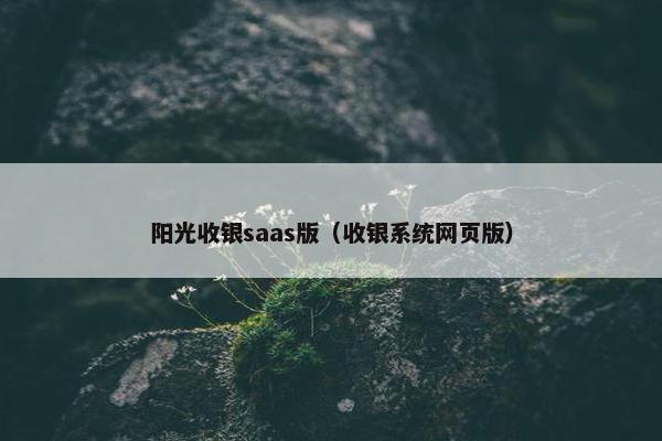 阳光收银saas版（收银系统网页版）