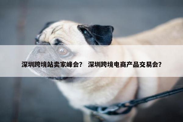 深圳跨境站卖家峰会？ 深圳跨境电商产品交易会？