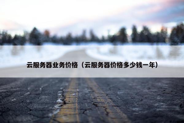 云服务器业务价格（云服务器价格多少钱一年）