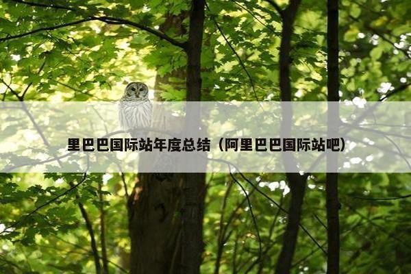 里巴巴国际站年度总结（阿里巴巴国际站吧）