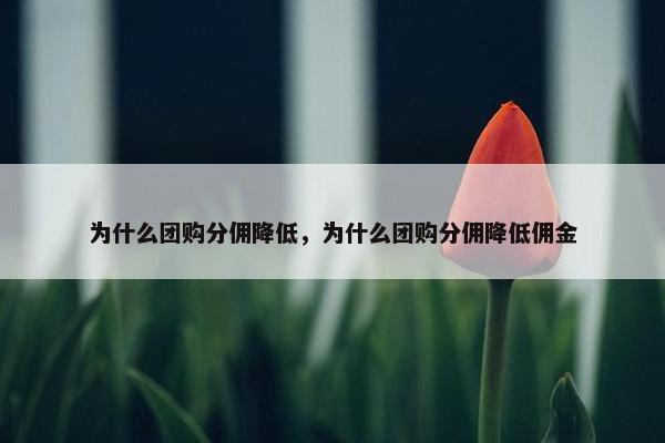 为什么团购分佣降低，为什么团购分佣降低佣金