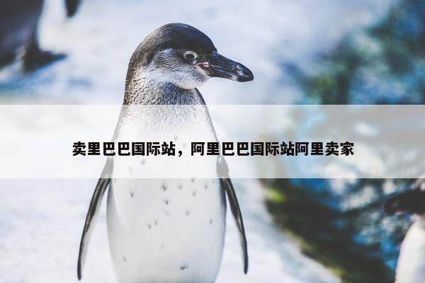 卖里巴巴国际站，阿里巴巴国际站阿里卖家