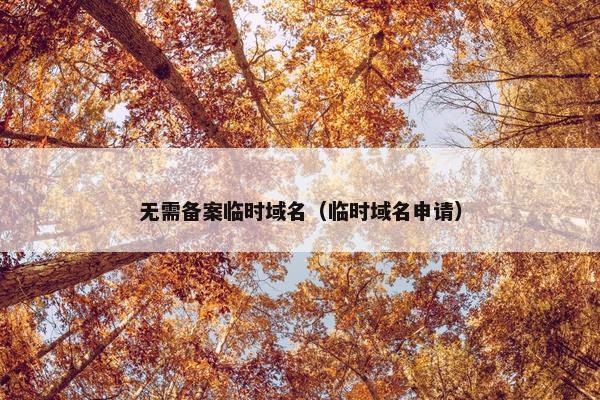 无需备案临时域名（临时域名申请）
