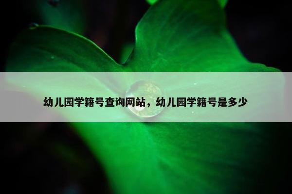 幼儿园学籍号查询网站，幼儿园学籍号是多少