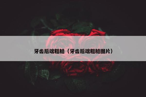 牙齿后端粗糙（牙齿后端粗糙图片）