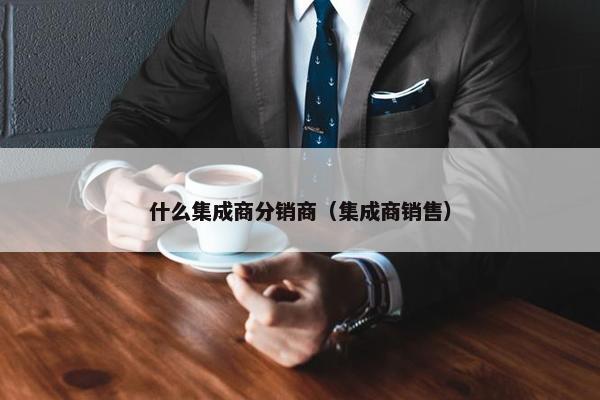 什么集成商分销商（集成商销售）