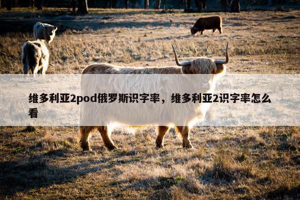维多利亚2pod俄罗斯识字率，维多利亚2识字率怎么看