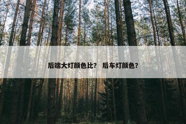 后端大灯颜色比？ 后车灯颜色？