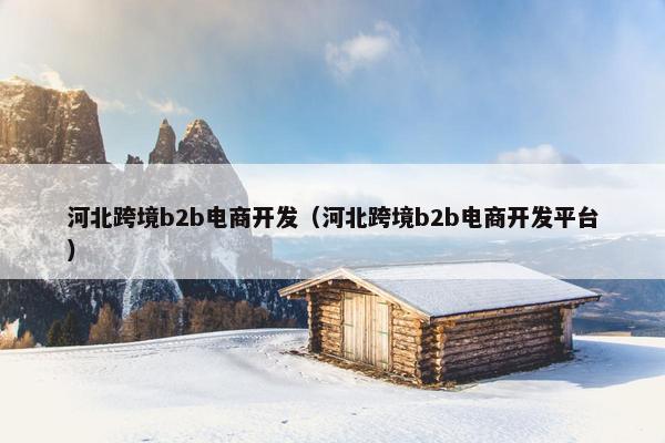 河北跨境b2b电商开发（河北跨境b2b电商开发平台）