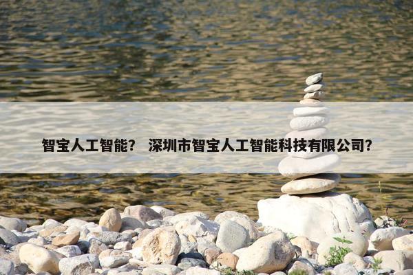 智宝人工智能？ 深圳市智宝人工智能科技有限公司？