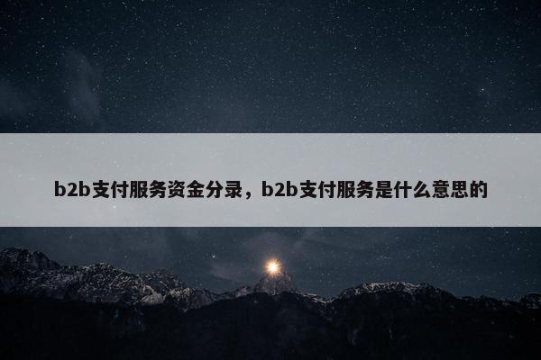 b2b支付服务资金分录，b2b支付服务是什么意思的