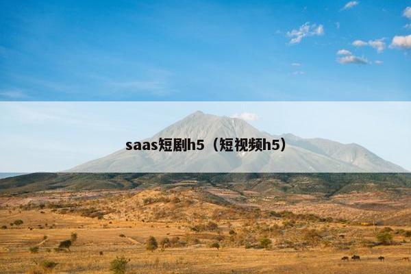 saas短剧h5（短视频h5）