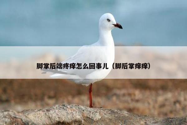 脚掌后端疼痒怎么回事儿（脚后掌痒痒）