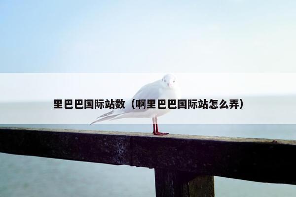 里巴巴国际站数（啊里巴巴国际站怎么弄）