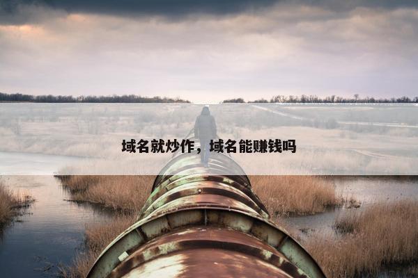 域名就炒作，域名能赚钱吗