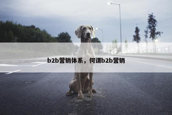 b2b营销体系，何谓b2b营销
