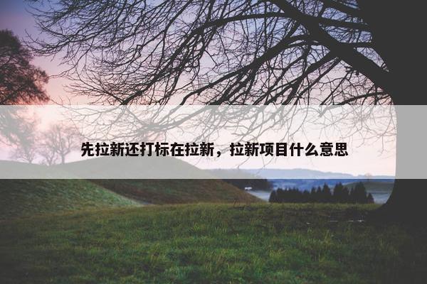 先拉新还打标在拉新，拉新项目什么意思