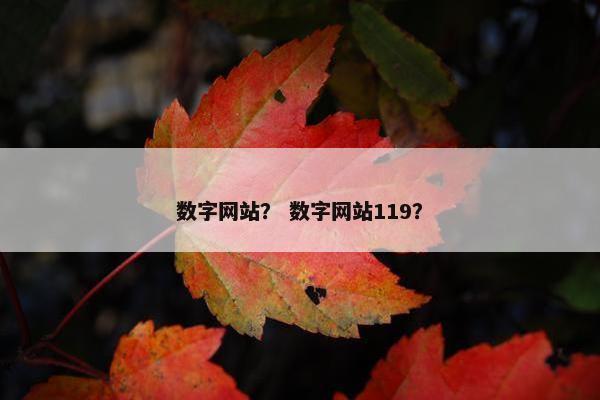 数字网站？ 数字网站119？