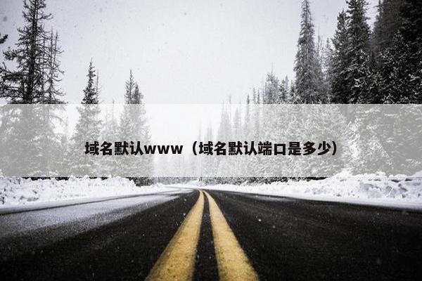 域名默认www（域名默认端口是多少）
