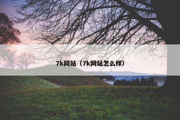 7k网站（7k网站怎么样）