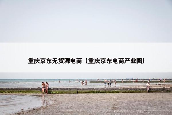 重庆京东无货源电商（重庆京东电商产业园）