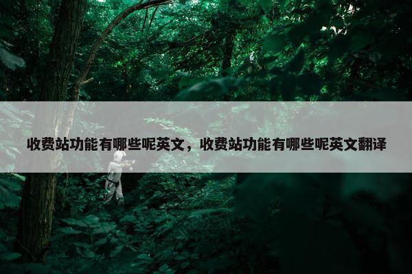 收费站功能有哪些呢英文，收费站功能有哪些呢英文翻译