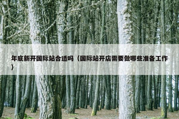 年底新开国际站合适吗（国际站开店需要做哪些准备工作）