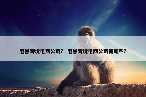 老黑跨境电商公司？ 老黑跨境电商公司有哪些？