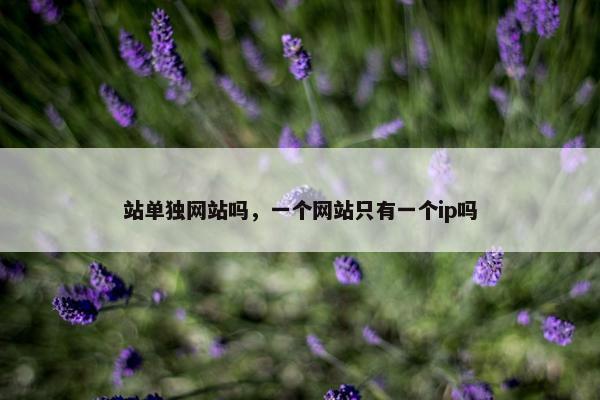 站单独网站吗，一个网站只有一个ip吗