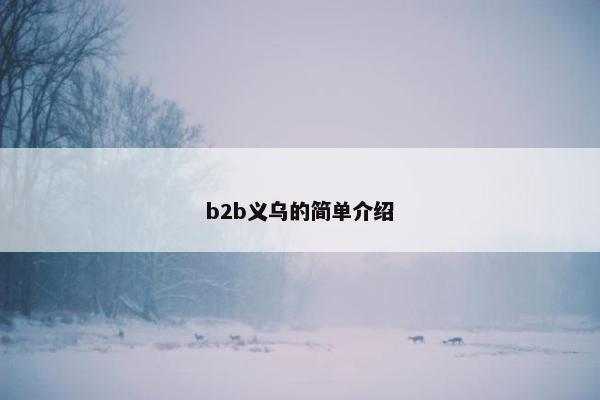 b2b义乌的简单介绍