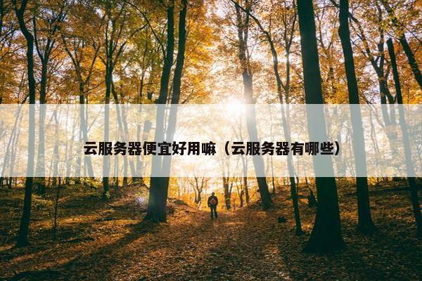 云服务器便宜好用嘛（云服务器有哪些）