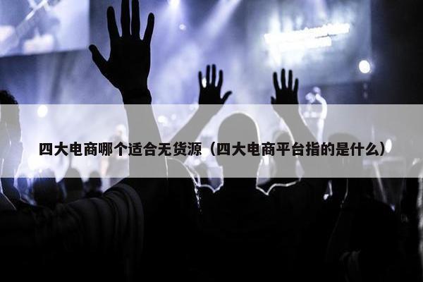 四大电商哪个适合无货源（四大电商平台指的是什么）