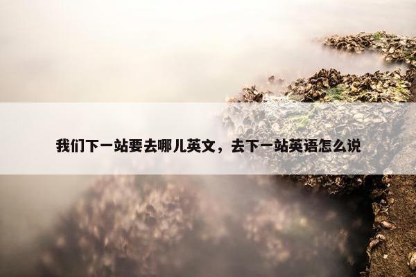 我们下一站要去哪儿英文，去下一站英语怎么说