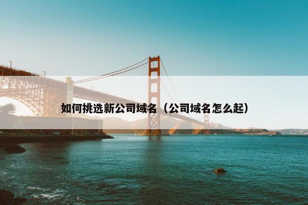 如何挑选新公司域名（公司域名怎么起）