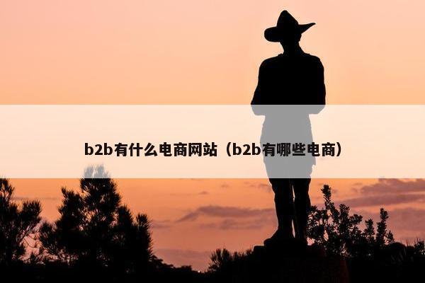 b2b有什么电商网站（b2b有哪些电商）