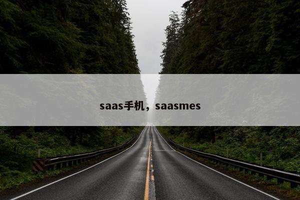 saas手机，saasmes