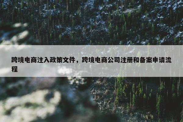 跨境电商注入政策文件，跨境电商公司注册和备案申请流程