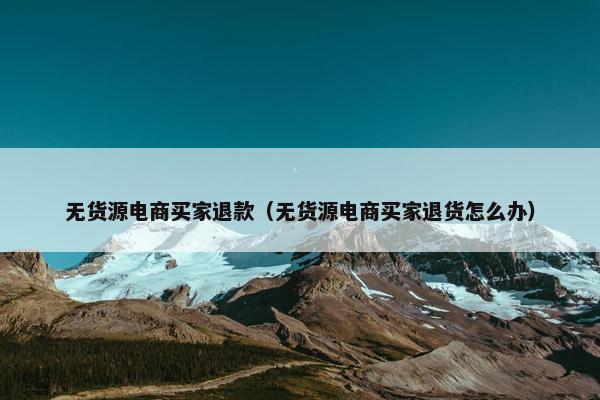 无货源电商买家退款（无货源电商买家退货怎么办）